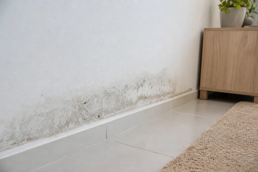 Parede residencial apresenta marca de umidade próxima ao rodapé.