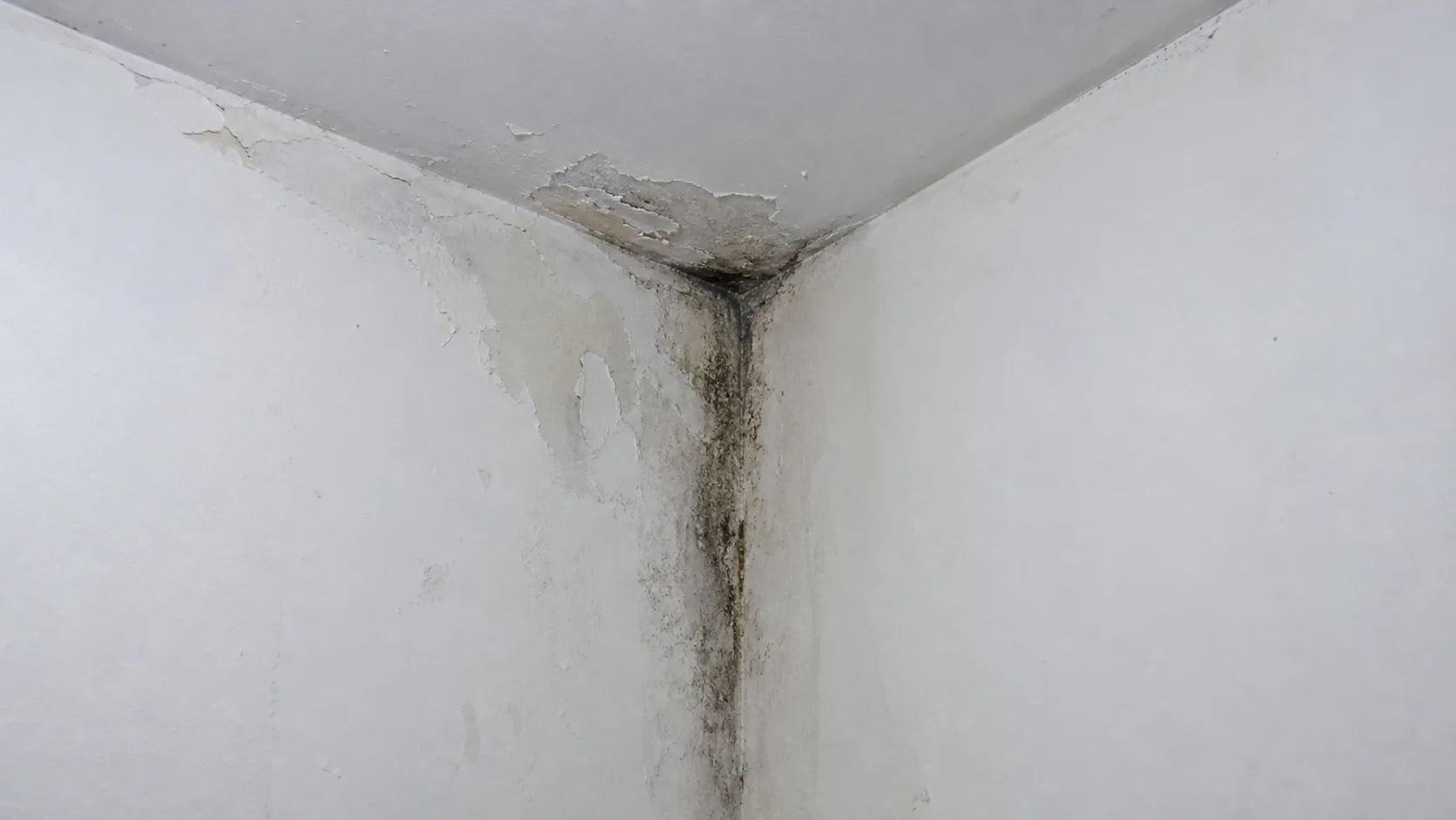 Canto de parede com tinta descascando e umidade visível.
