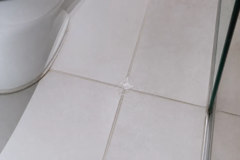 Piso cerâmico com pequena área de umidade próxima ao rejunte em banheiro.