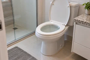 Sinal visível relacionado a Por que o retorno de esgoto pelo vaso exige atenção imediata no imóvel.