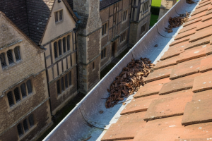 Desentupimento de Calhas em Casas Antigas: Guia Completo