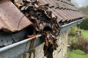 Calhas Antigas: Guia Completo para Prevenção de Entupimentos